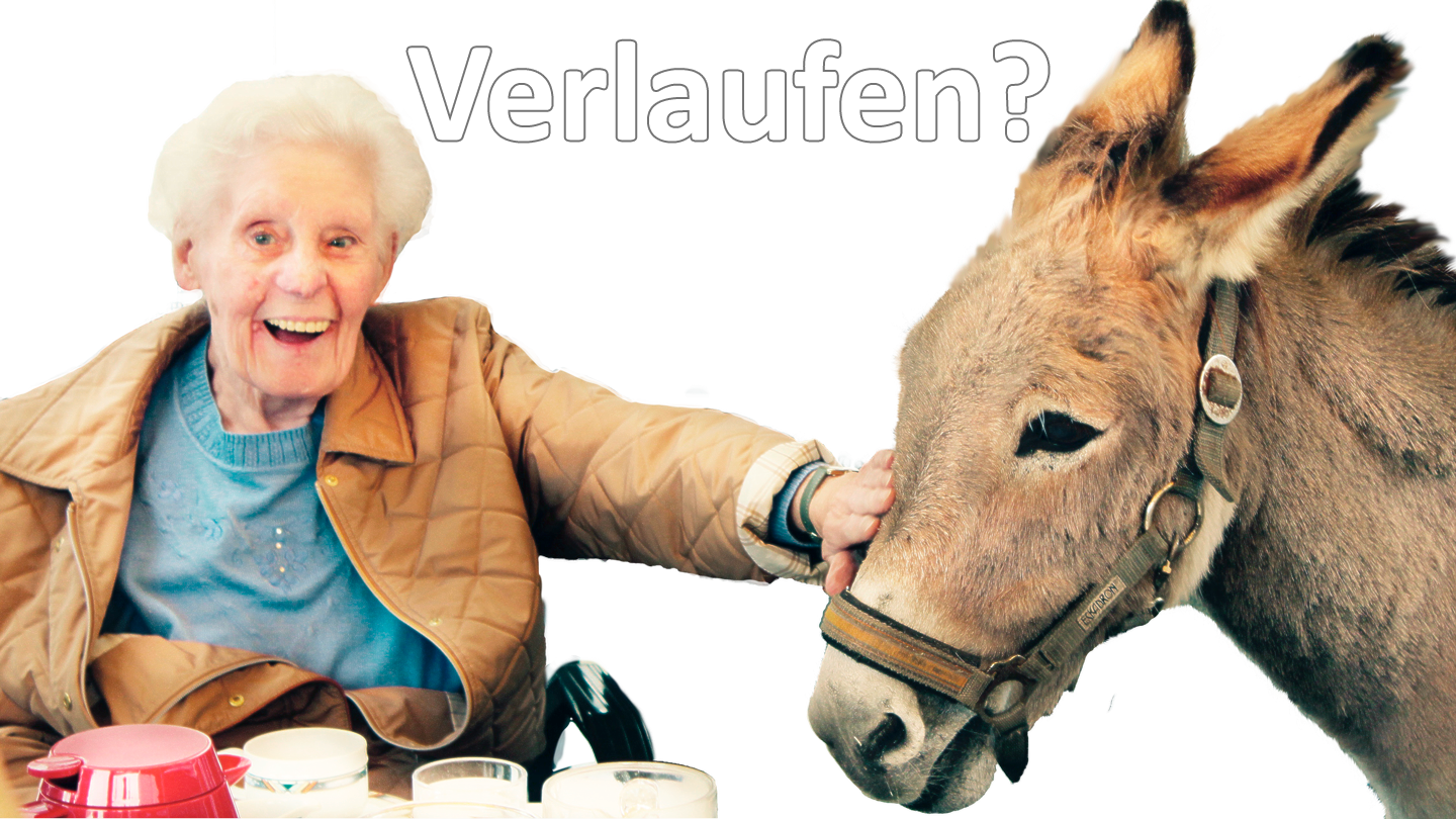 404 Verlaufen